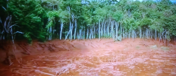 Brumadinho e Mariana: o que precisa mudar no Brasil para que os desastres não se repitam