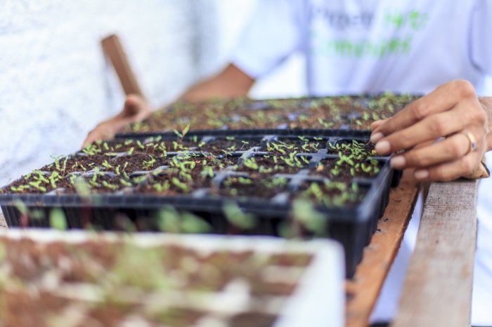 Imerys recebe reconhecimento por ações de sustentabilidade