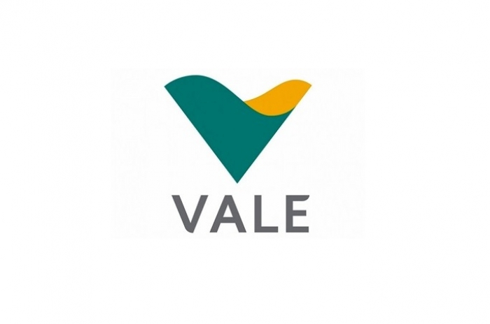 Vale cria joint venture para investir em projeto de cerca de US$ 624 milhões na China