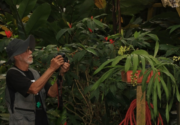 Iniciativa da MRN resgata epífitas e as devolve para Flona no Pará