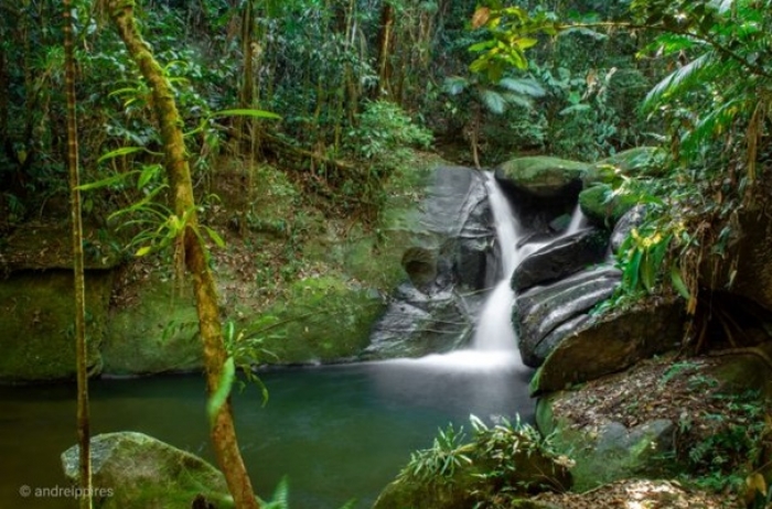 Legado das Águas, da Votorantim, é a maior reserva privada de Mata Atlântica do Brasil