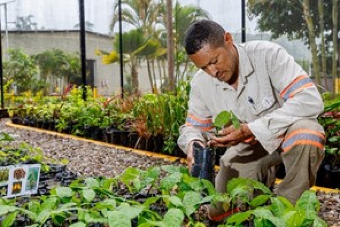 Operação em Jacobina é a primeira do Brasil a participar do programa padrão de sustentabilidade canadense