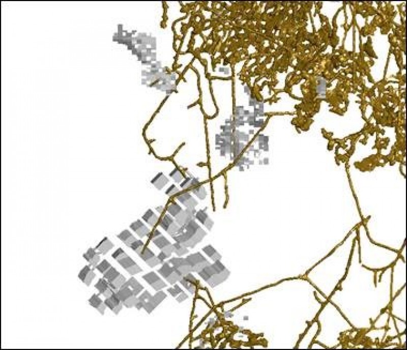 Metodologia Sublevel Stoping (ilustração: Nexa Resources)