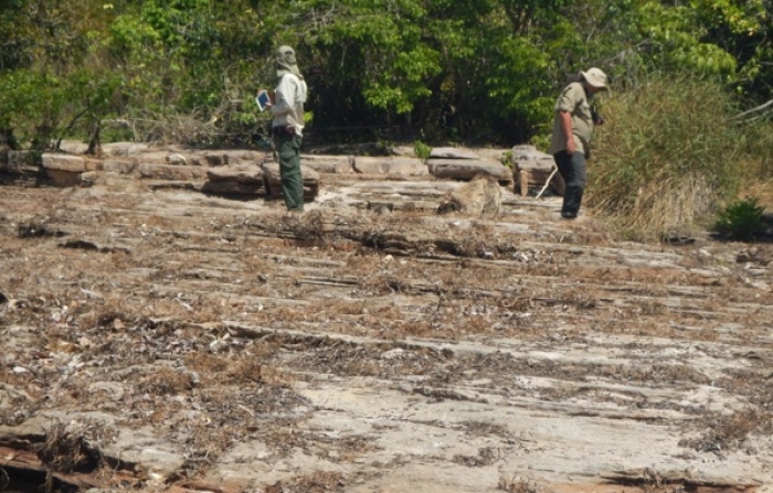 Pesquisa premiada ajuda a determinar idade de formação geológica no Amazonas