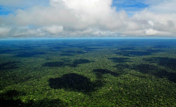 Ferramenta de Inteligência Artificial ajudará na prevenção do desmatamento da Amazônia 