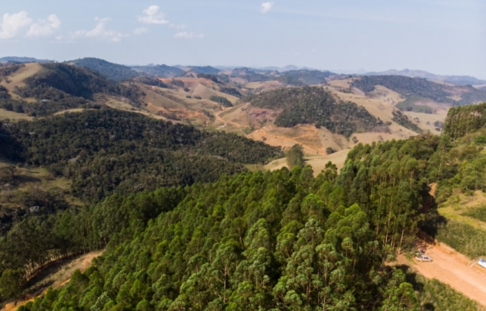 Estudos de fauna do solo auxiliam trabalho de restauração ambiental na Zona da Mata Mineira