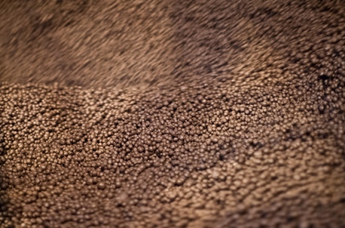 Vale testa em escala industrial biocarvão na produção de pelotas