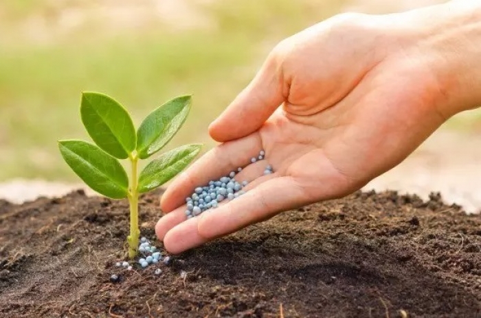 Ibram se pronuncia sobre os impactos da guerra no fornecimento de fertilizantes