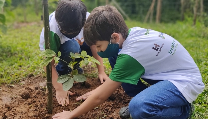 Instituto LafargeHolcim seleciona projetos sociais para apoio em Minas Gerais