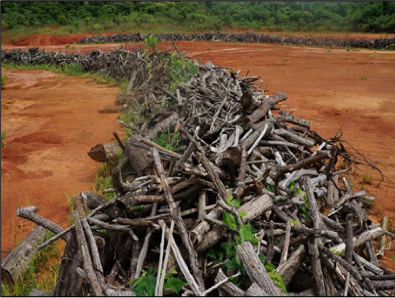 Figura 3 – Curvas de nível verde, seguindo proposta de núcleos de galharia, estabelecida com material lenhoso oriundo da supressão vegetativa em áreas industriais já licenciadas
