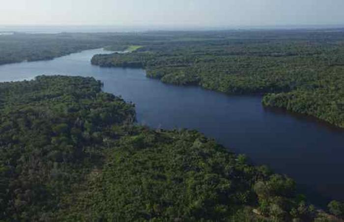 Alcoa seleciona 13 projetos que receberão aporte de R$ 250 mil 