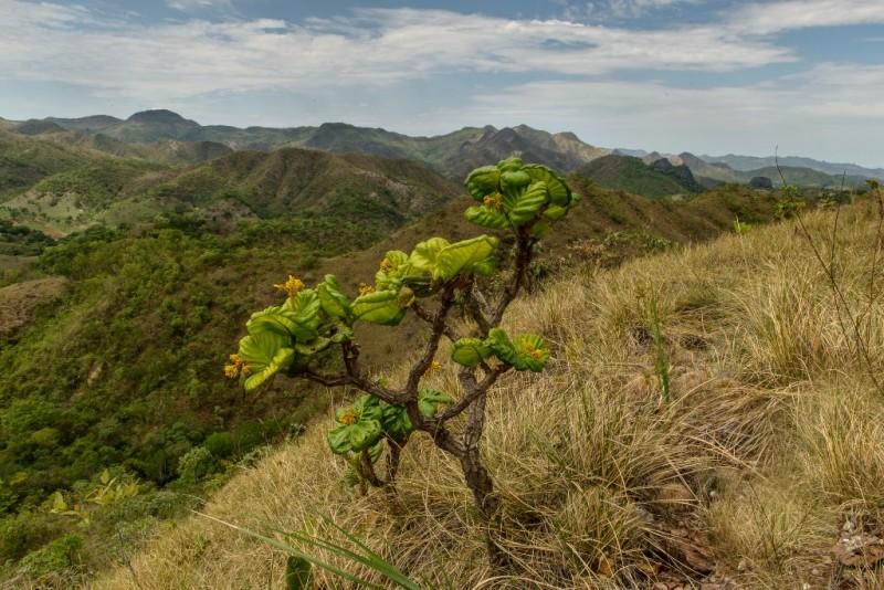 Fazenda Engenho, localizada em Niquelândia, Goiás (foto: CBA)