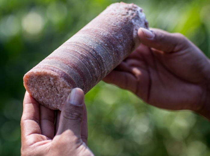 Potássio do Brasil será uma das participantes da Fertilizer Latino Americano