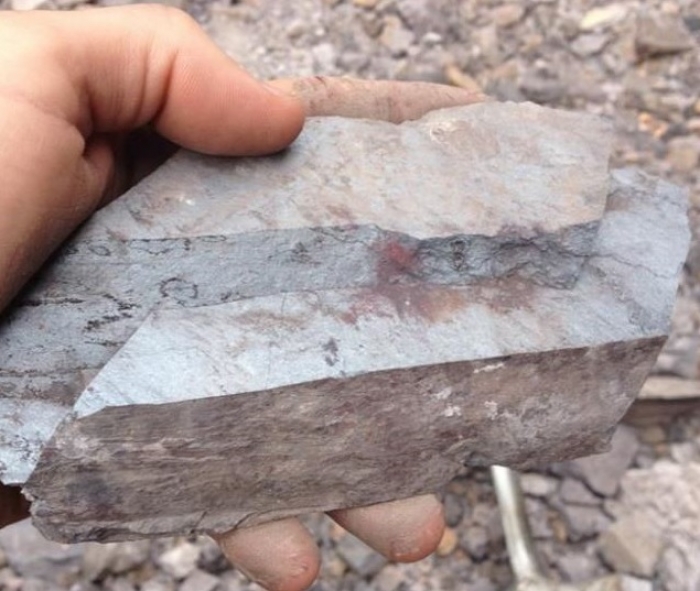 CBPM conclui licitação para dois direitos minerários de minério de ferro