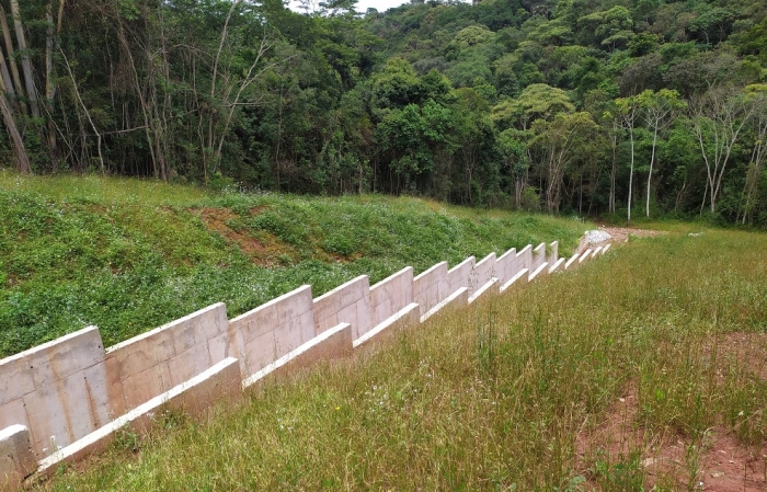 Jaguar Mining promoverá a revegetação de mais de 100.000m² de áreas mineradas até o fim de 2023