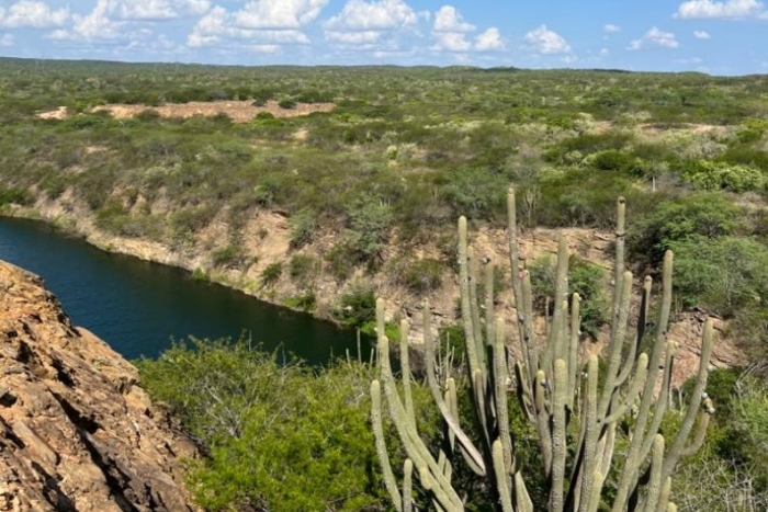 Aura Minerals anuncia conclusão do Estudo de Viabilidade do Projeto Borborema