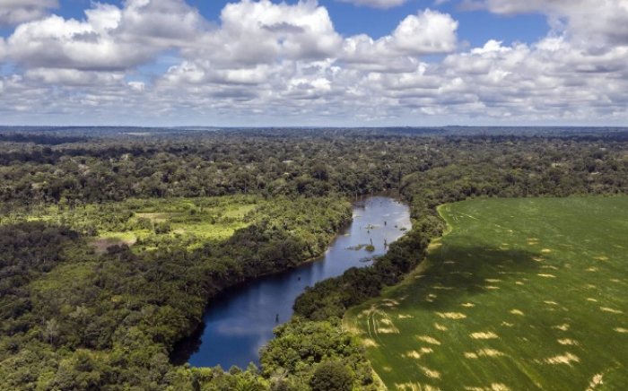 Mineração e a realocação de reserva legal