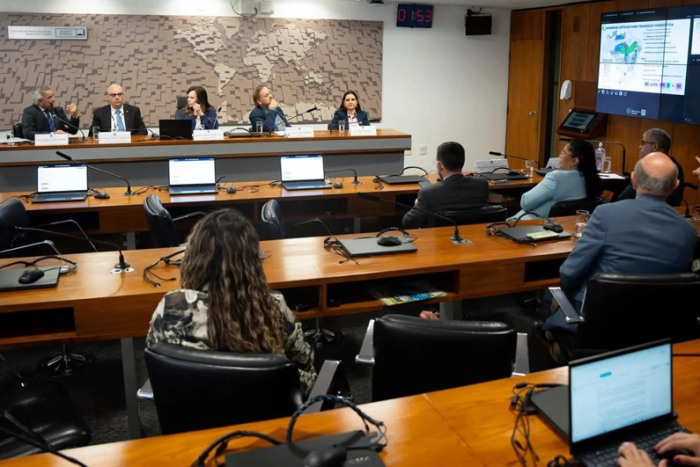 Especialistas discutem desafios e estratégias para o fortalecimento da mineração no Brasil