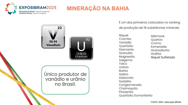 Relatório produzido pelo Ibram