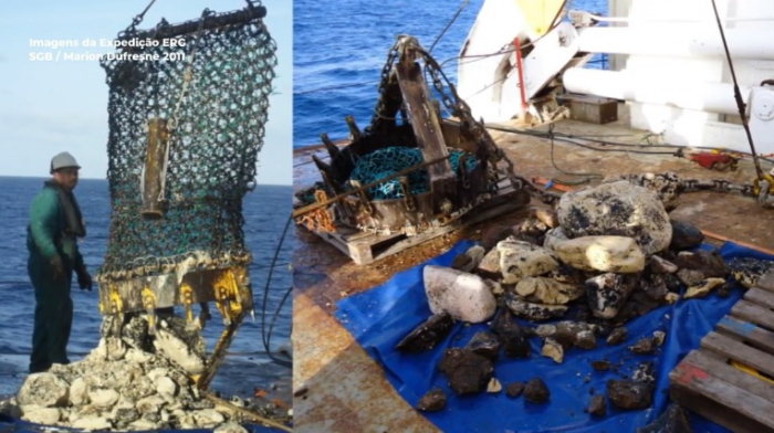 Serviço Geológico do Brasil disponibiliza plataforma interativa com amostras da Elevação Rio Grande