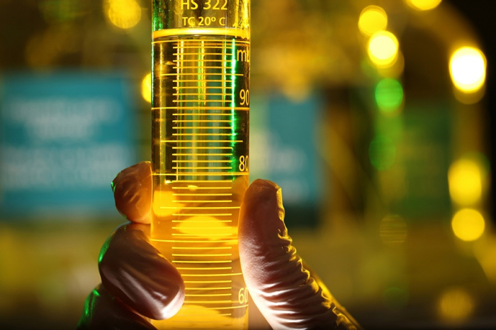 Petrobras e Vale avançam com parceria no fornecimento de combustíveis