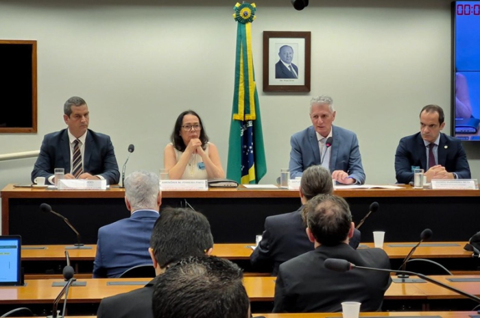 Audiência pública discute a Política Nacional de Terras Raras e Minerais Estratégicos
