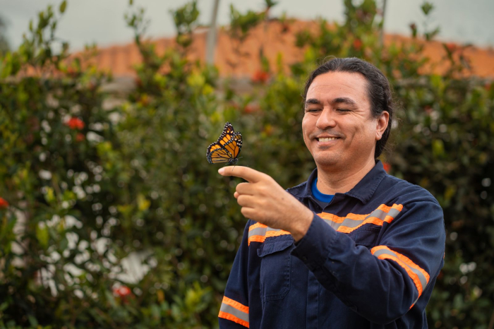 Projetos ambientais recuperam áreas e transformam comunidades em Minas Gerais