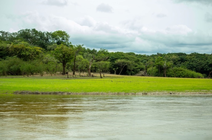 De área impactada a laboratório vivo da Amazônia: Lago Batata se tornou referência científica
