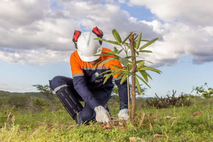 Aura avança com recuperação ambiental em Currais Novos (RN)