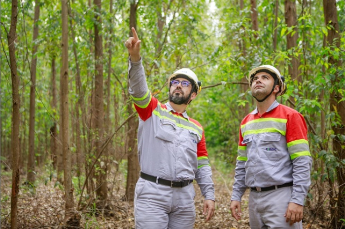 Semana do Meio Ambiente da CMOC mobiliza empregados e comunidade