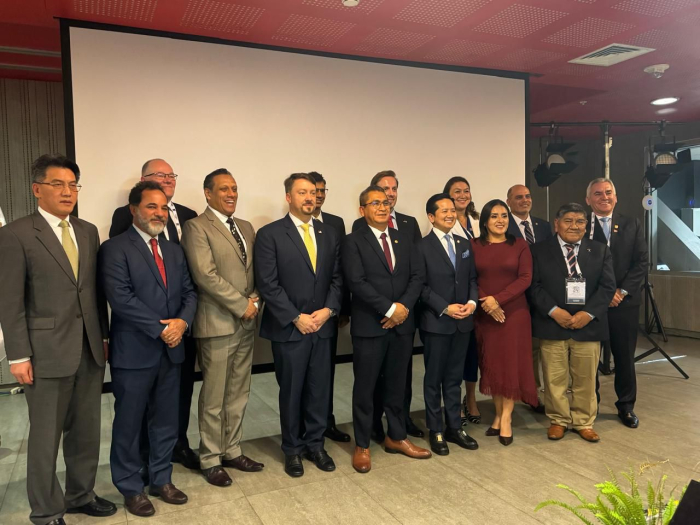 AMIG Brasil propõe criação de comitê latino-americano para marcos regulatórios de minerais críticos