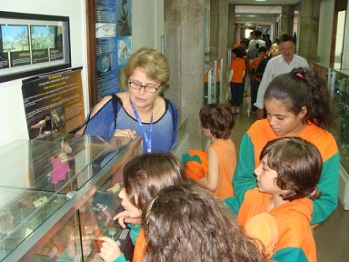 Museu de Geologia tem programa especial para as crianças