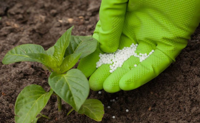 Frente pelo Desenvolvimento da Região da Campanha lamenta suspensão de projeto da Águia Fertilizantes
