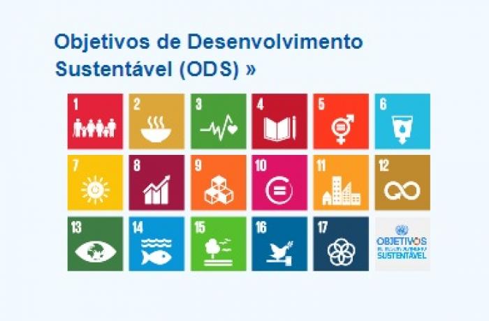 Workshop sobre os objetivos do desenvolvimento sustentável na mineração