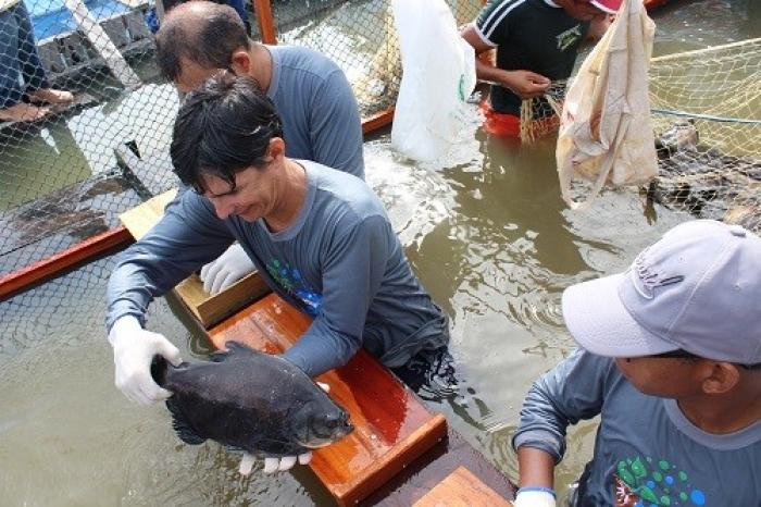 MRN promove projeto de piscicultura com comunidades ribeirinhas