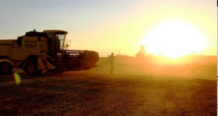 Siderurgia se beneficia de bom momento do mercado de máquinas agrícolas
