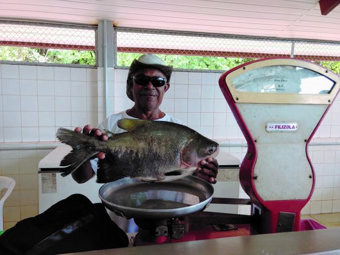 MRN apoia projeto de piscicultura em três comunidades ribeirinhas de Oriximiná (PA)