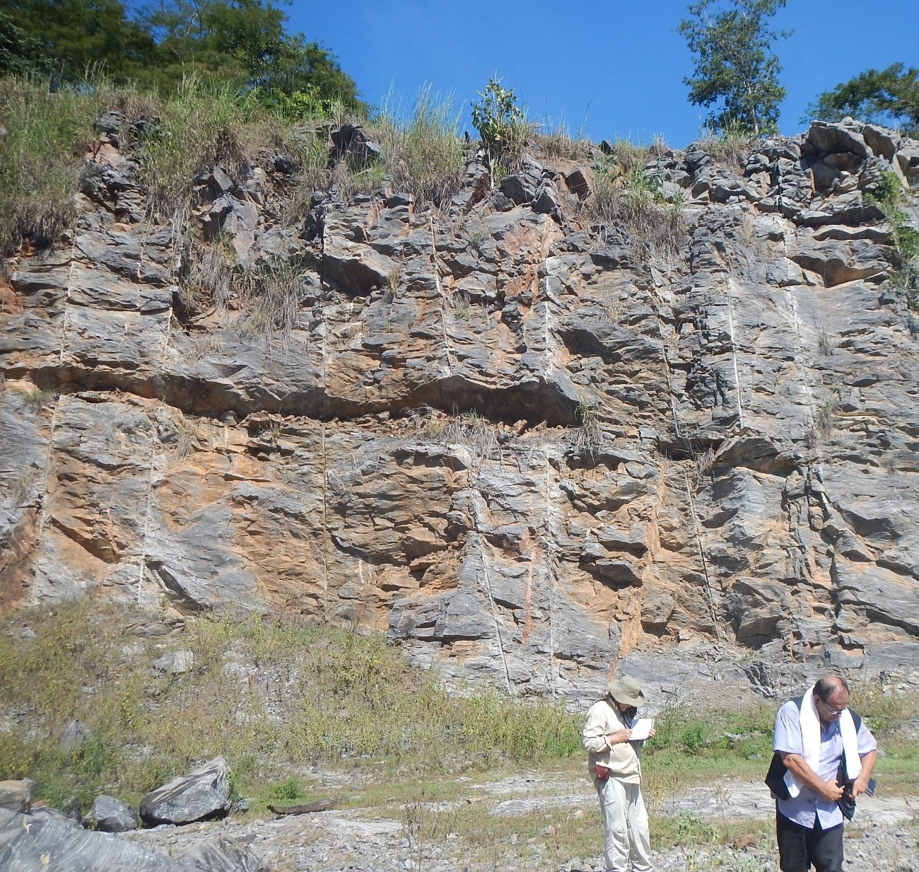 Calc&aacute;rio calc&iacute;tico em Goi&aacute;s